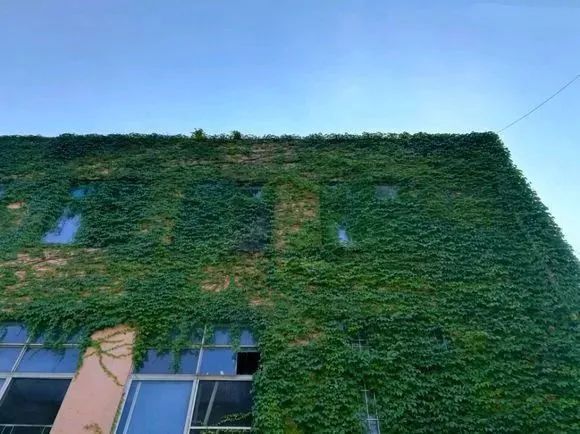 高职高考必看｜全面了解广州番禺职业技术学院