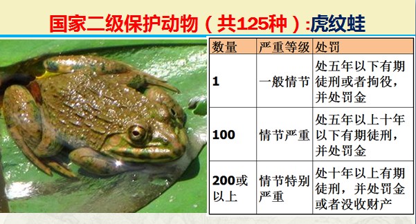 国家保护动物分几个等级（125类二级野生保护名录）