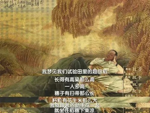 致敬“杂交水稻之父”袁隆平：除了珍惜粮食，我们还能做到这五点