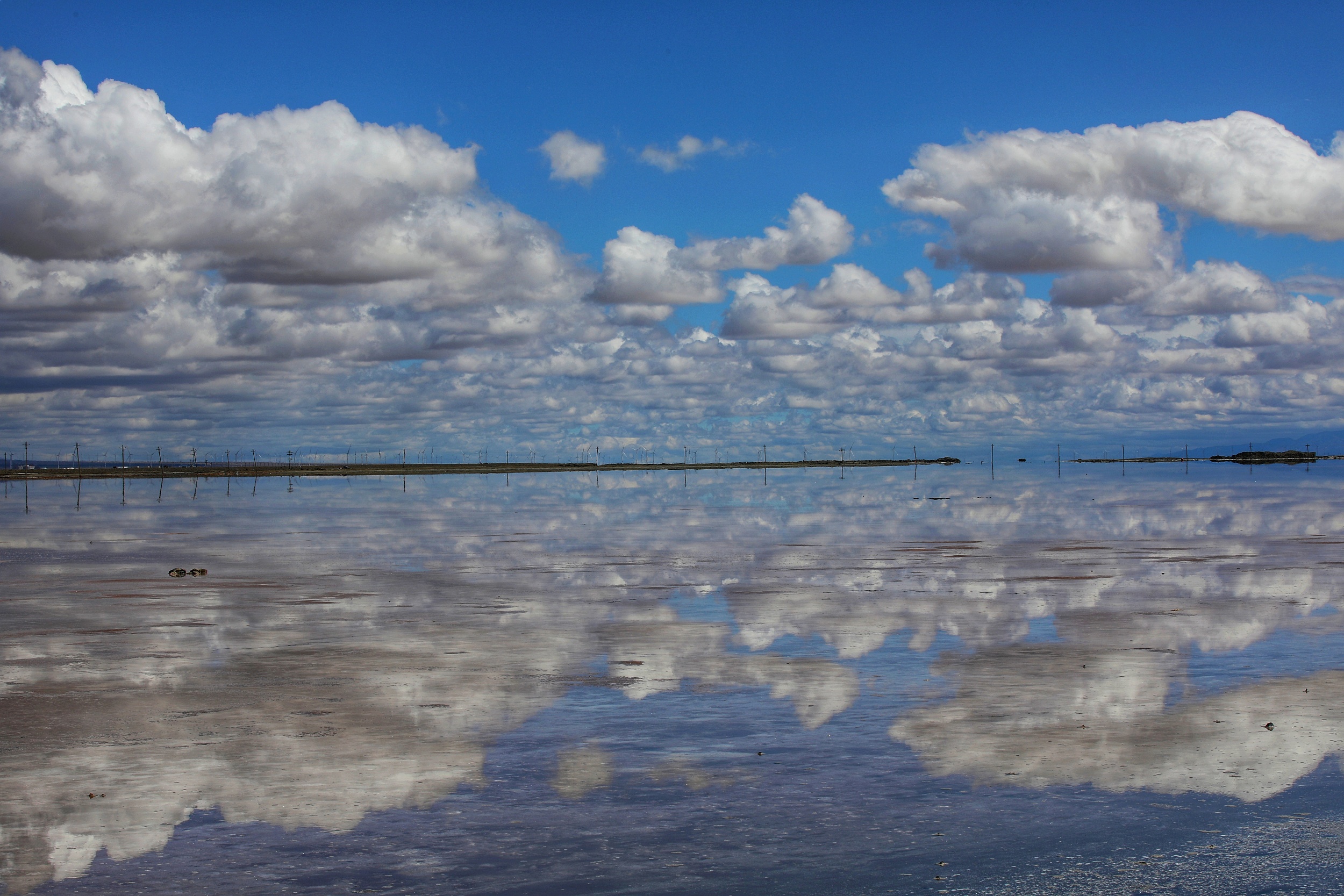 2017青海高考状元是谁（四川小镇青年成青海首富）