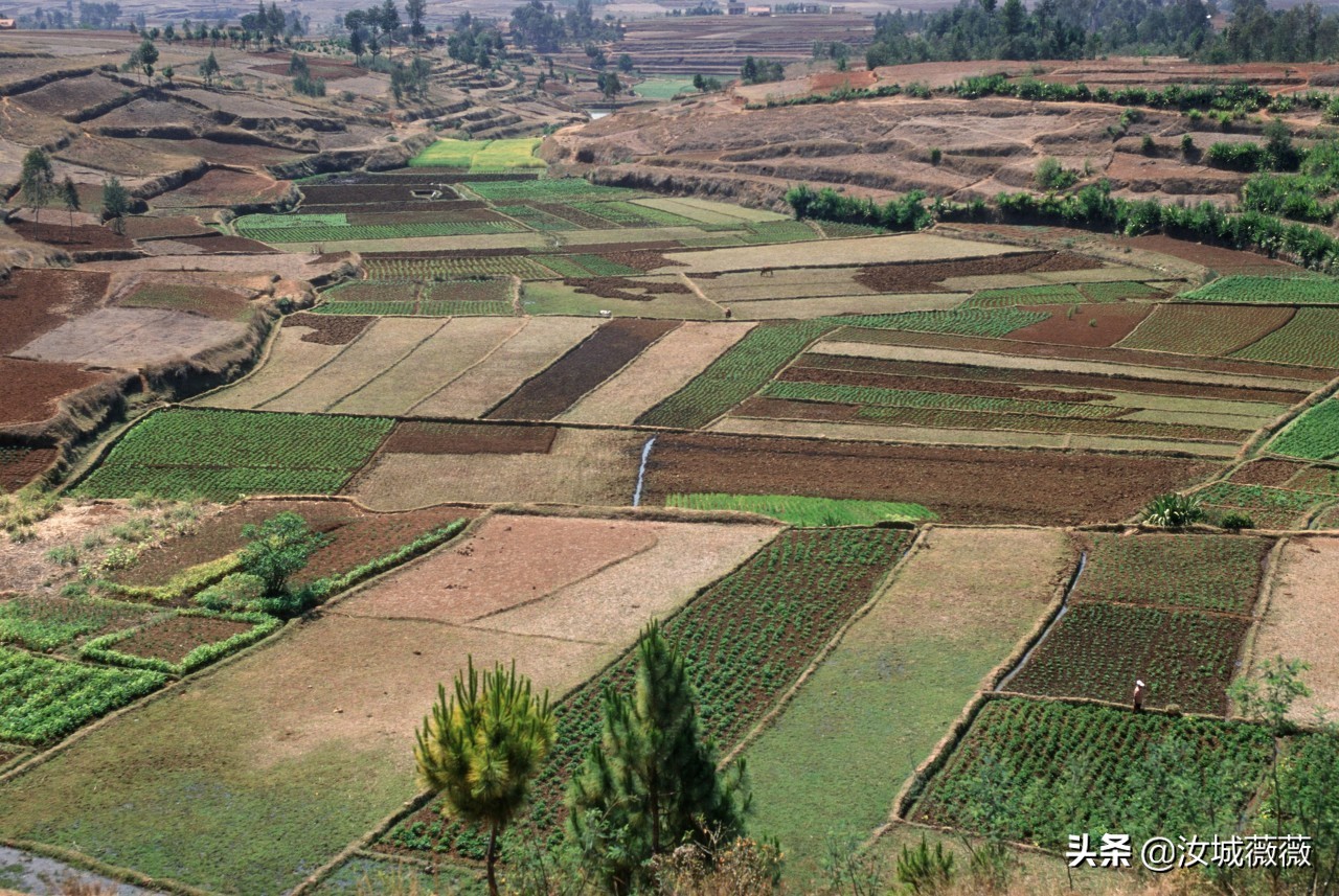 农村土地承包经营权转让合同（范文）