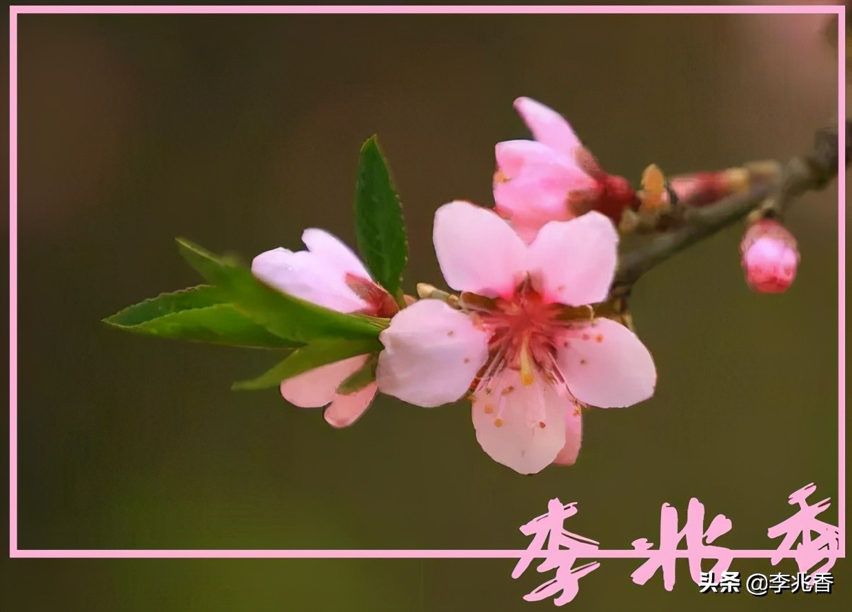 һƴʲôһƴ(shi)ʲôдģ-ǱϢ(wang)