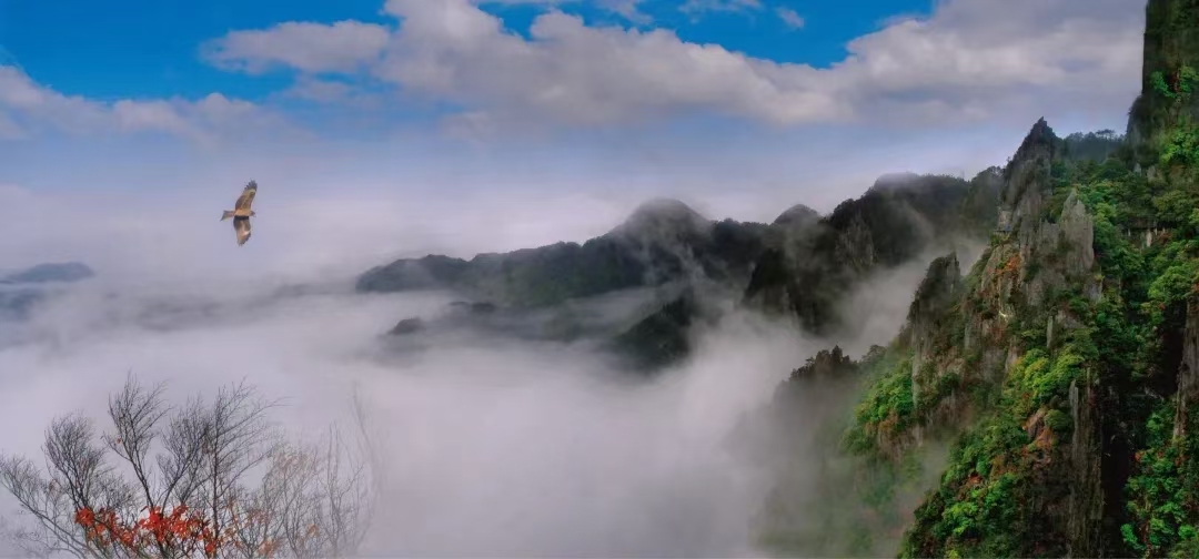 「高中」必修上-教材经典篇目梳理-《劝学》（附例题及解析）