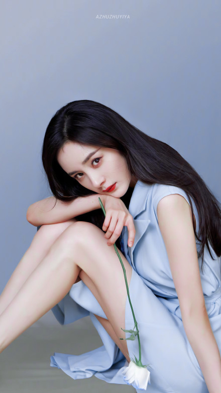 姓杨的明星(娱乐圈最火的几位杨家人,有你的偶像吗?