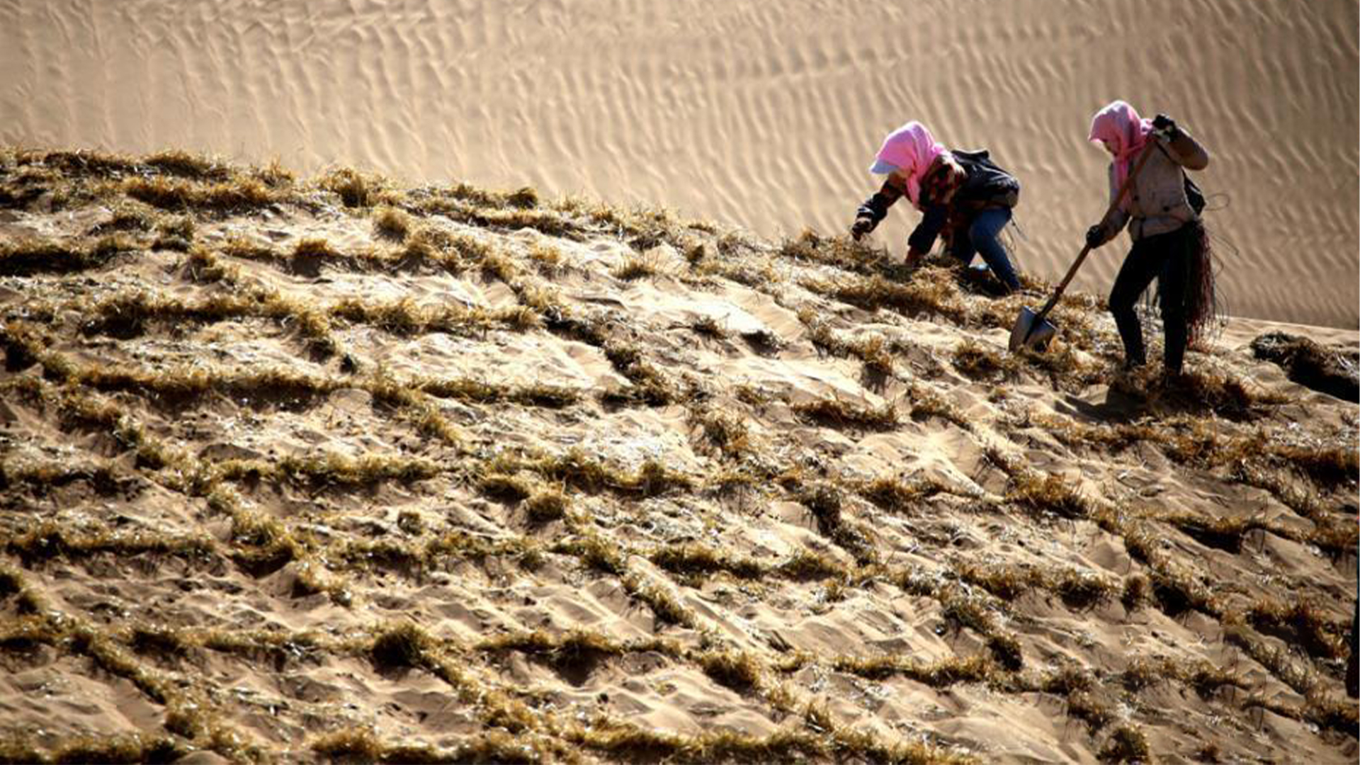 我国能否消灭塔克拉玛干,让沙漠变草原?如果真实现了是好是坏?