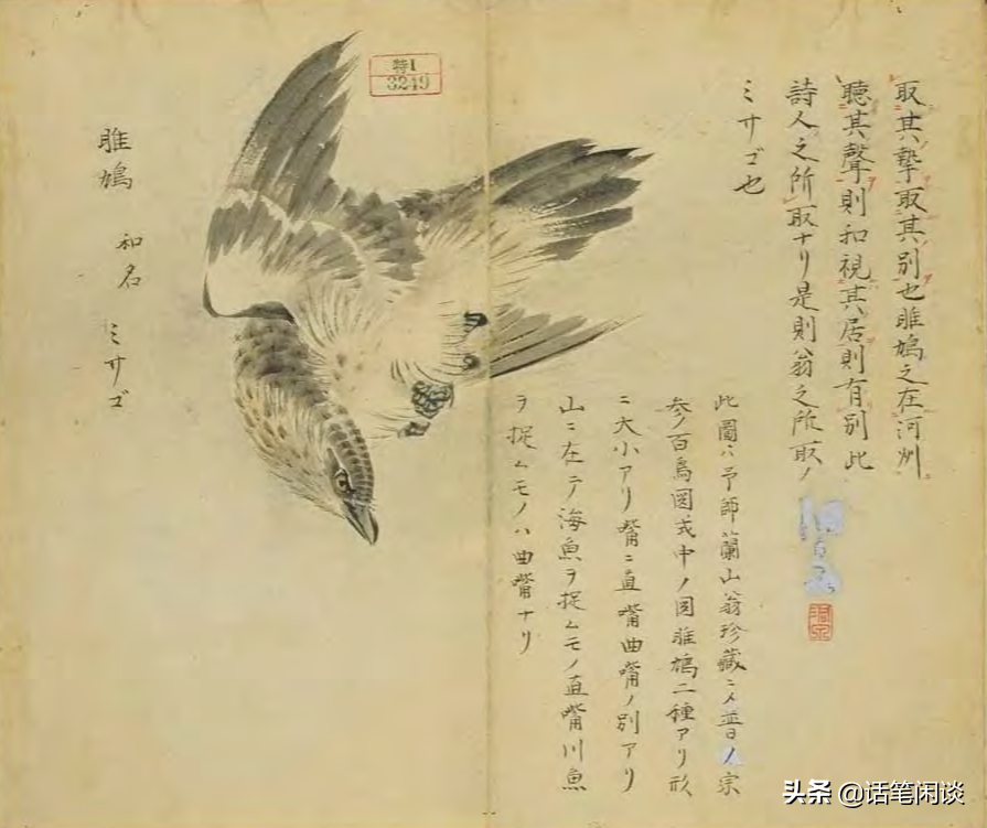 日本学者用心为《诗经》编了数百种图解，万物有灵，又美又细腻