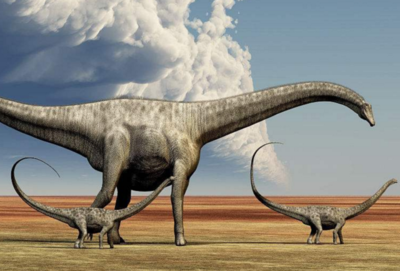 最大的恐龙是哪个历史上真的有58米长的恐龙吗
