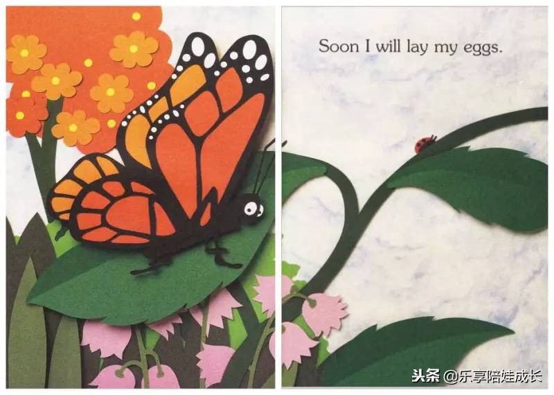 绘本磨耳朵：I'm a Caterpillar 中文《我是一条毛毛虫》！