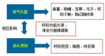 喉咙有异物感？咳不出又咽不下，多因痰气凝滞于咽！应该怎么办？