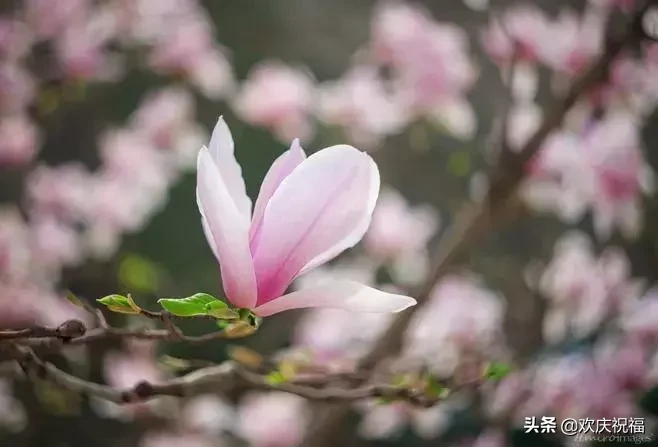 谁陪谁，谁懂谁，谁是谁的谁