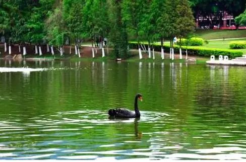 厦门大学旅游攻略！来厦门游玩不可不去的地方