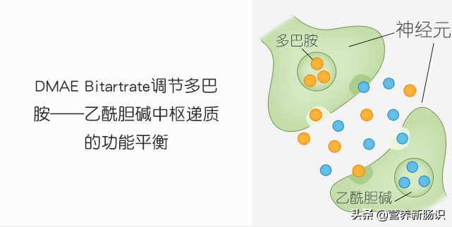 改善孩子多动、注意力缺陷，除了心理疏导，还有饮食营养四疗法