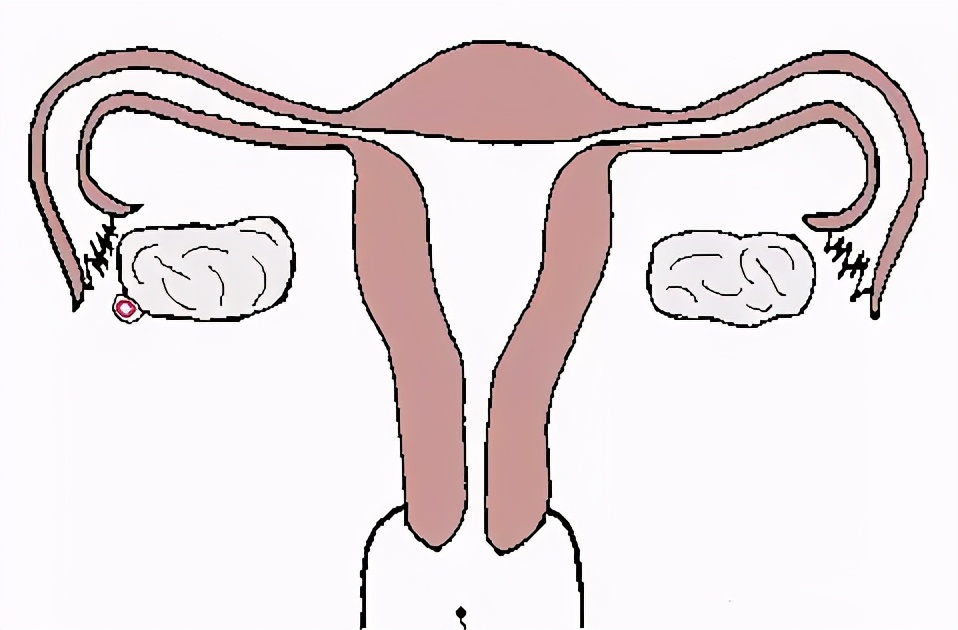 女子同房到怀孕图解