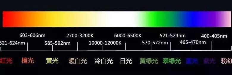 不会墙面装饰？1分钟教你如何选墙色+6种花式刷墙大法