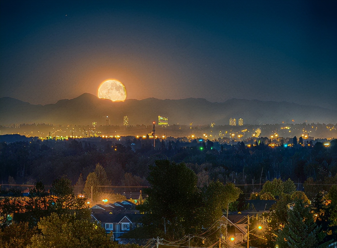 蝉声渐衰蛩鸣盛,秋月半墙舞流萤.酒罢踉跄回家去,一明一灭伴归程.