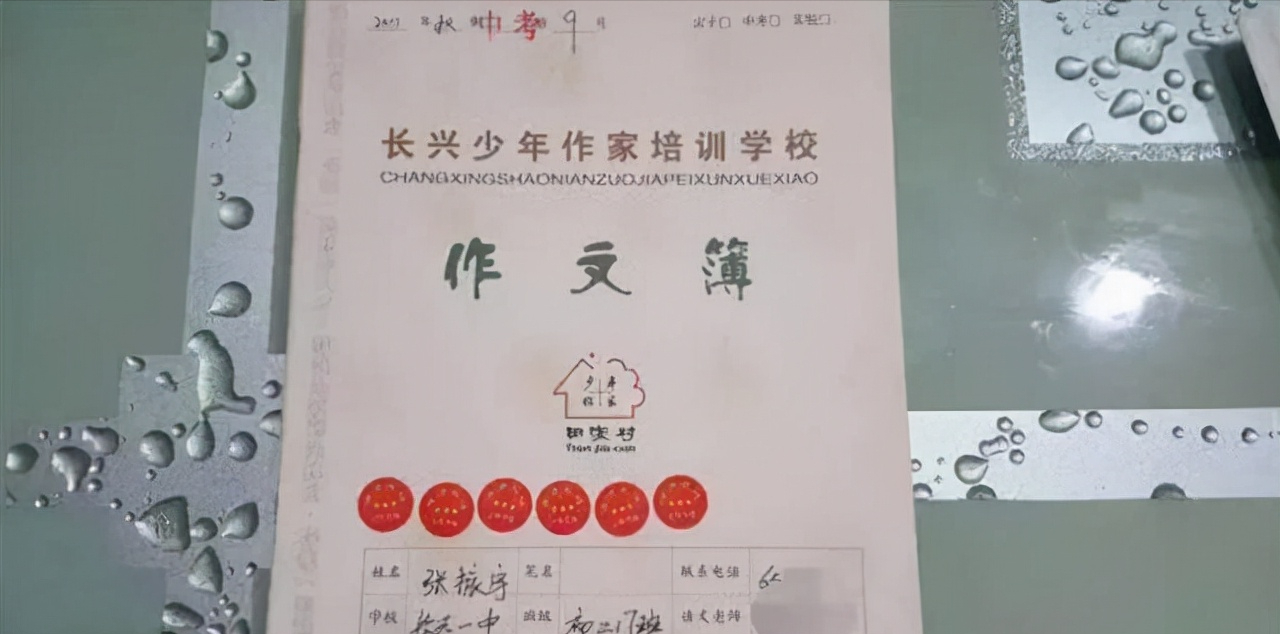 浙江省理科状元张振宇：高考749分，还被父亲嫌弃考得太差？