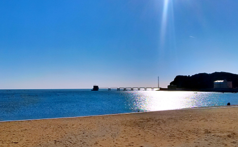 大连医科大学2017-2018年分省市区、分专业录取分数情况统计表