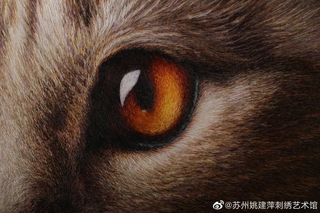 苏州刺绣图案图片（苏州最牛绣娘一幅画耗1.2亿针）
