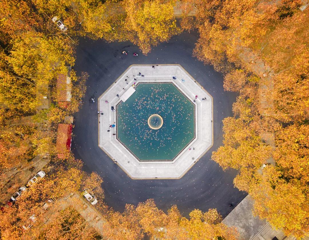 权威发布：东南大学2020年强基计划招生简章