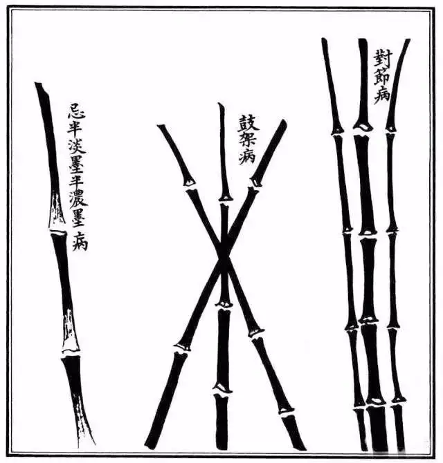 不会画竹子?教你最常见竹子画法,简单易学,快收藏起来临摹学习