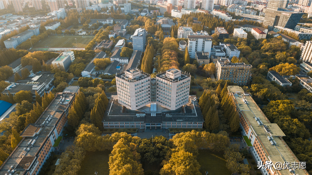 同济文科异军突起,理工科更加强势,继续巩固知名综合性大学地位