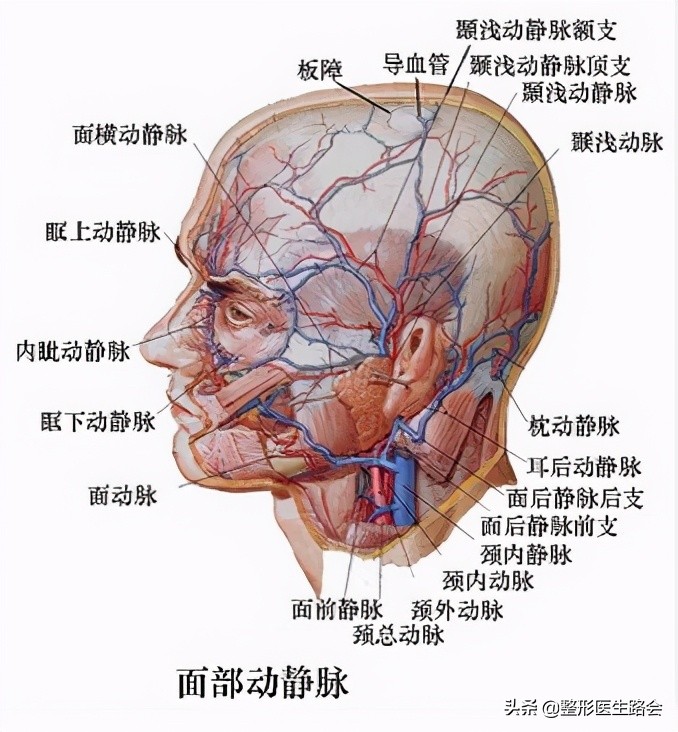 注射太阳穴多少钱(太阳穴不是俗称“死穴”吗，那地方怎么可以动刀填充？)