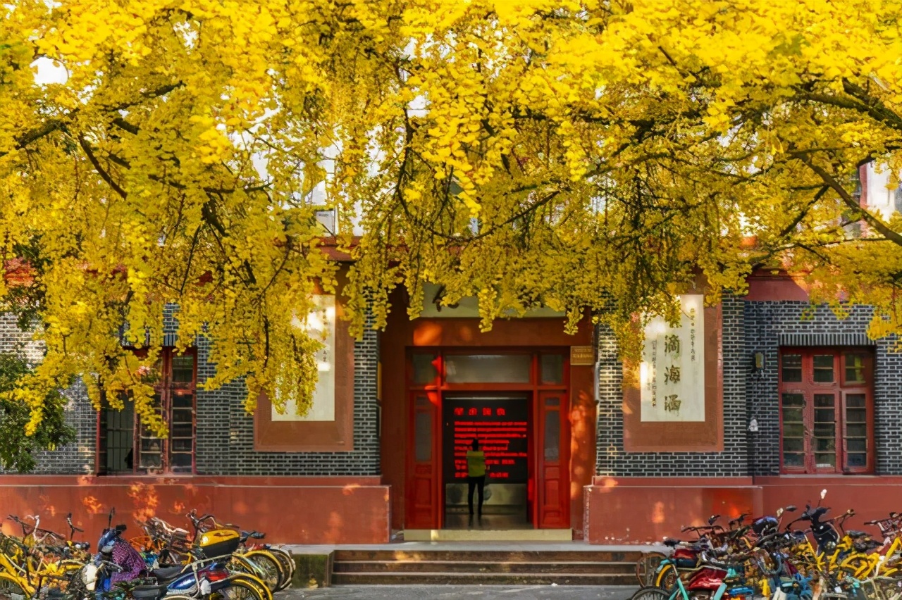 高校改名惨“翻车”，985院校一秒变“野鸡”，改回原名霸气回归