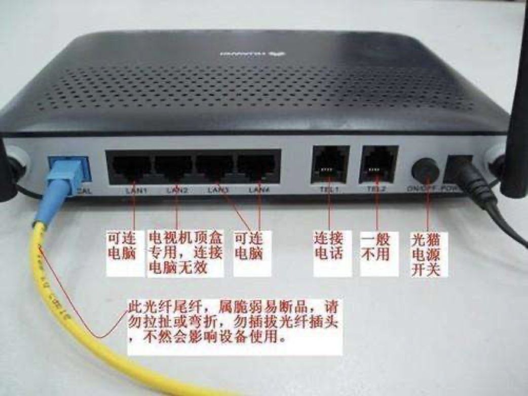 路由器是猫吗(路由器必须连着光猫吗)-世界十大之最
