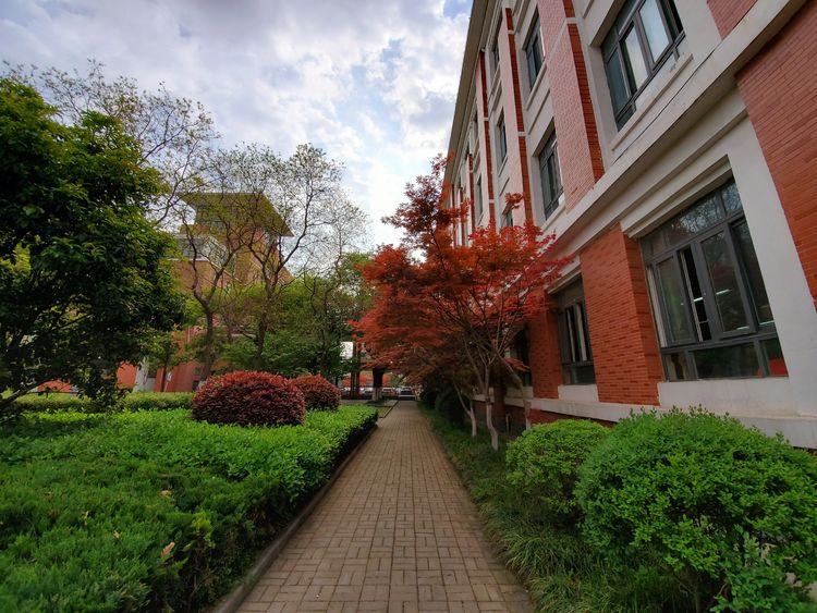 开发区实验学校：美矣美矣，开实芬芳“桃李”