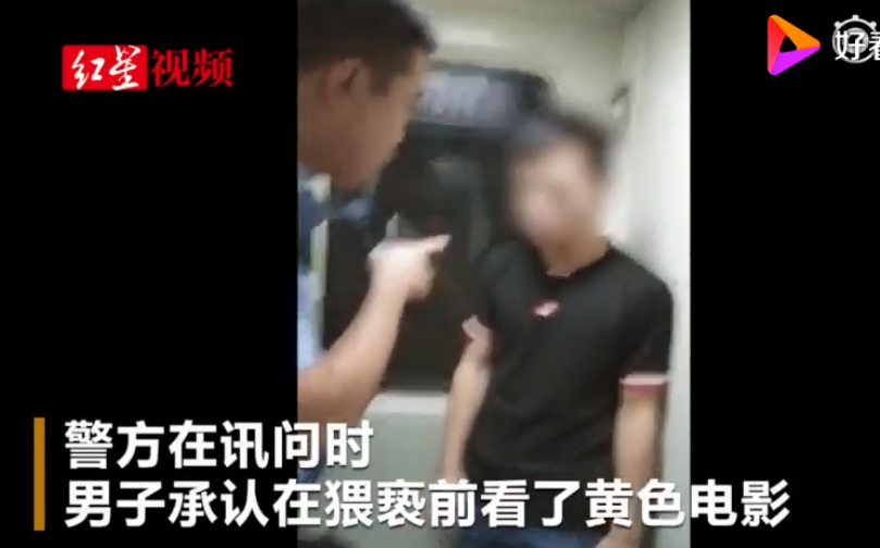 大学生火车上猥亵女童，“白天他还给女儿吃饼干”女童母亲说