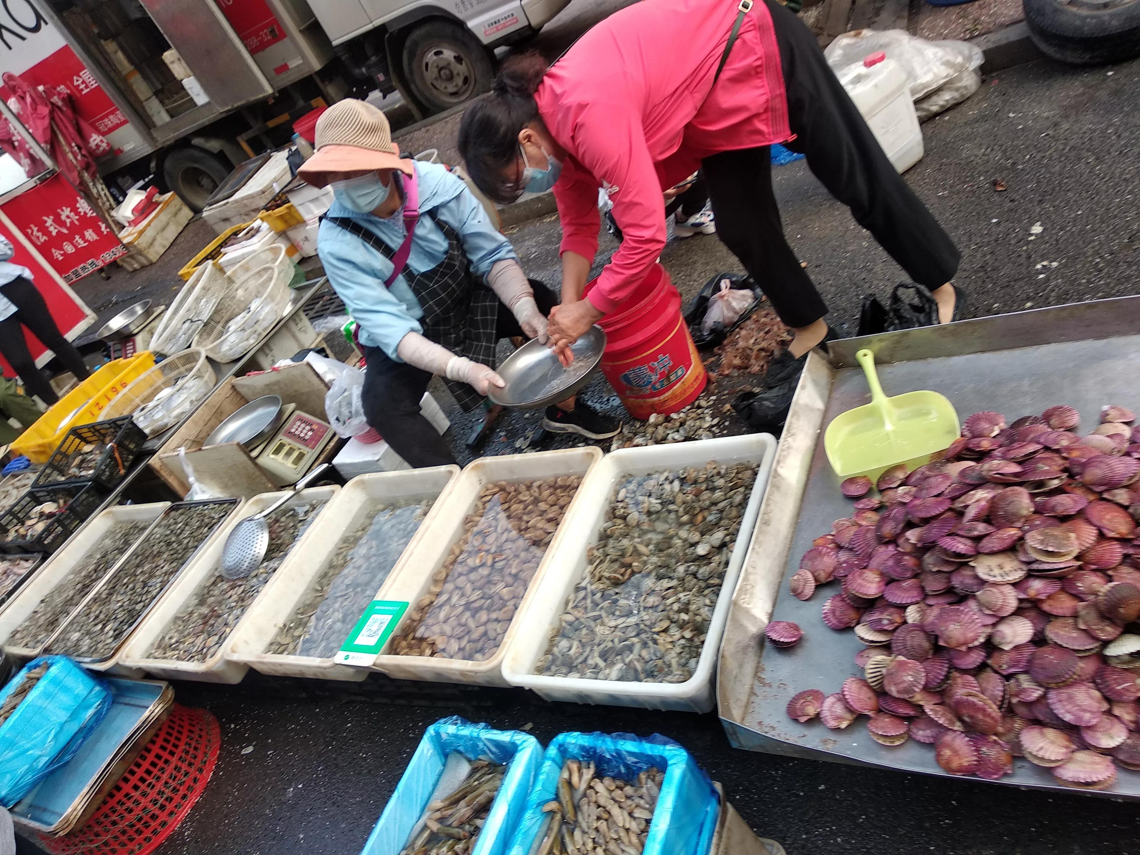 初冬收获季，大连各种海鲜“占领”市场，最便宜的海鲜2元一斤