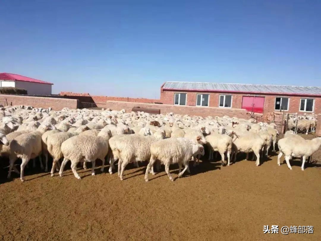 养殖业补贴,养殖业补贴政策
