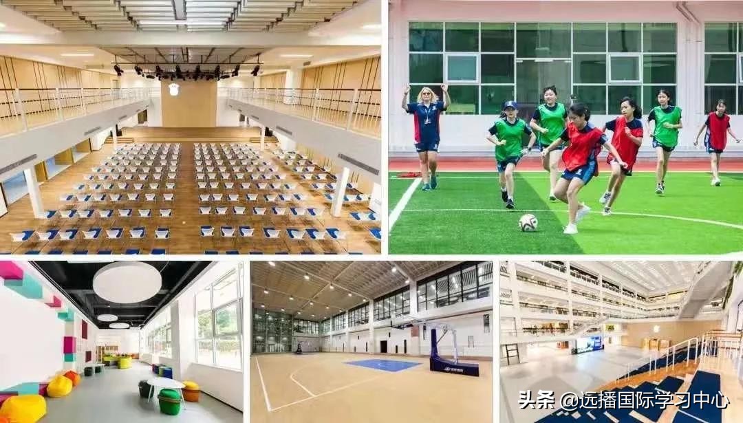 鼎石、包玉刚、世外、深外国际部等三十多所国际学校开放日汇总