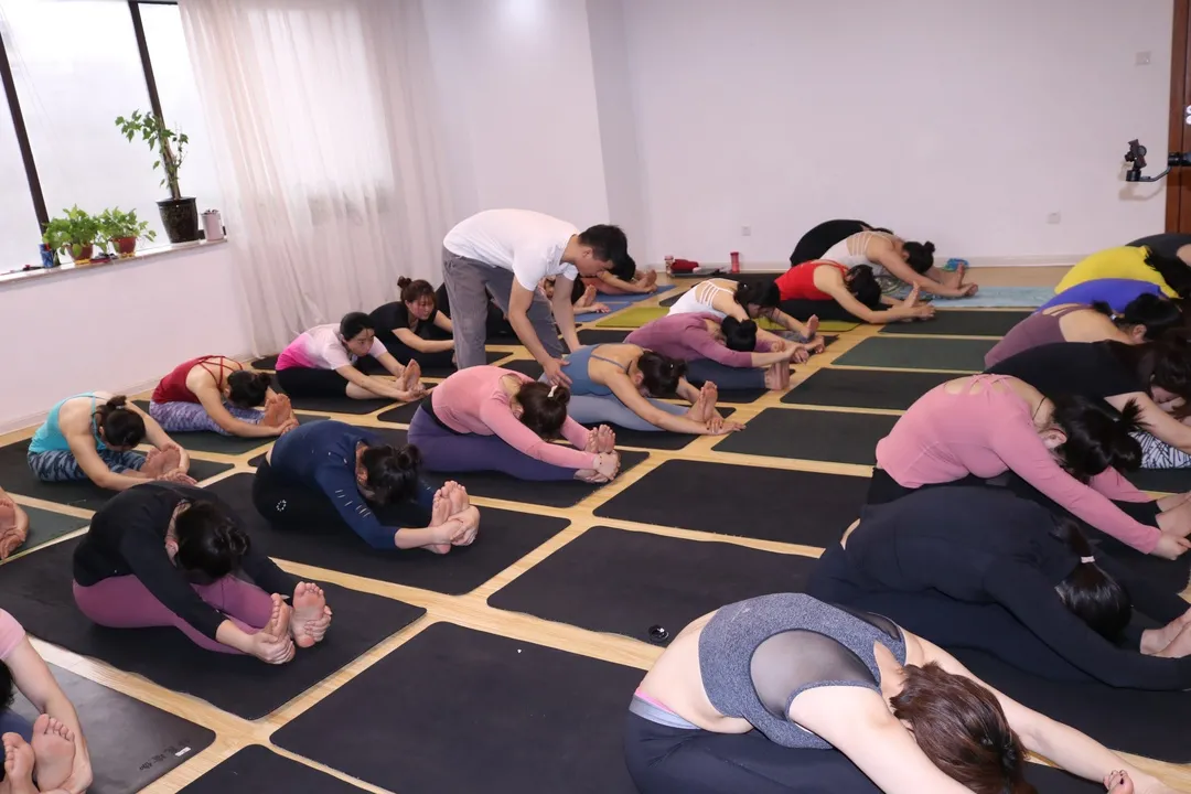 「杨昆瑜伽」基础瑜伽教练培训，专为零基础的你而定制