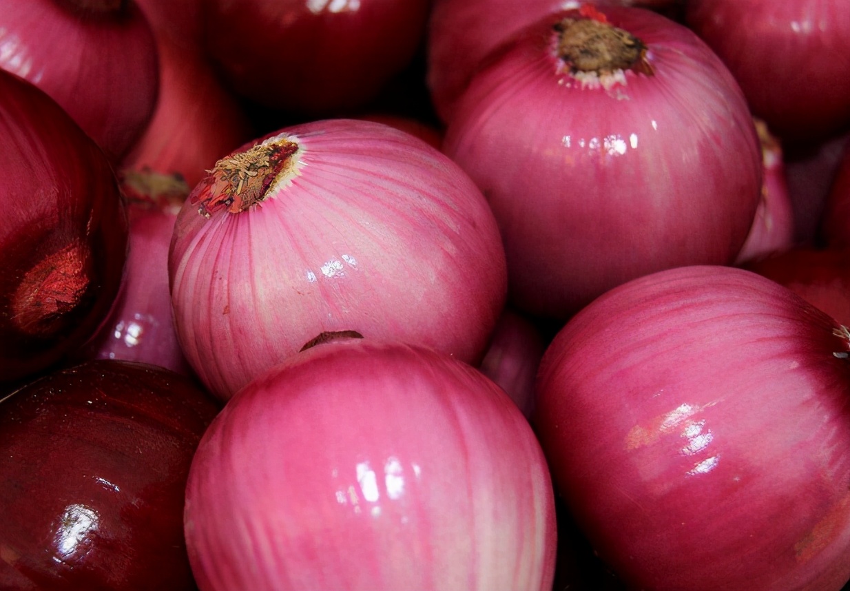 都是洋葱,紫洋葱和白洋葱买哪种好?知道区别后,别再买错了