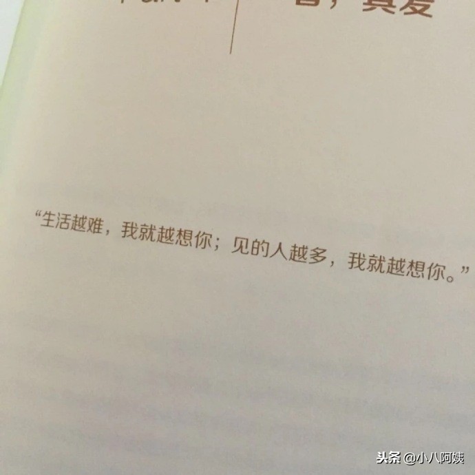 盘点那些一见钟情的句子，你有多久没听情话了