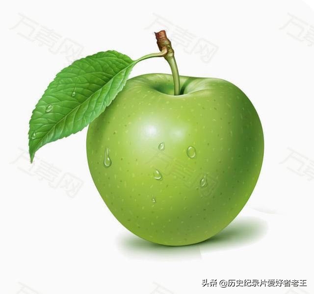 如今常见的水果之一——苹果的身世起源如何，揭秘苹果背后的历史
