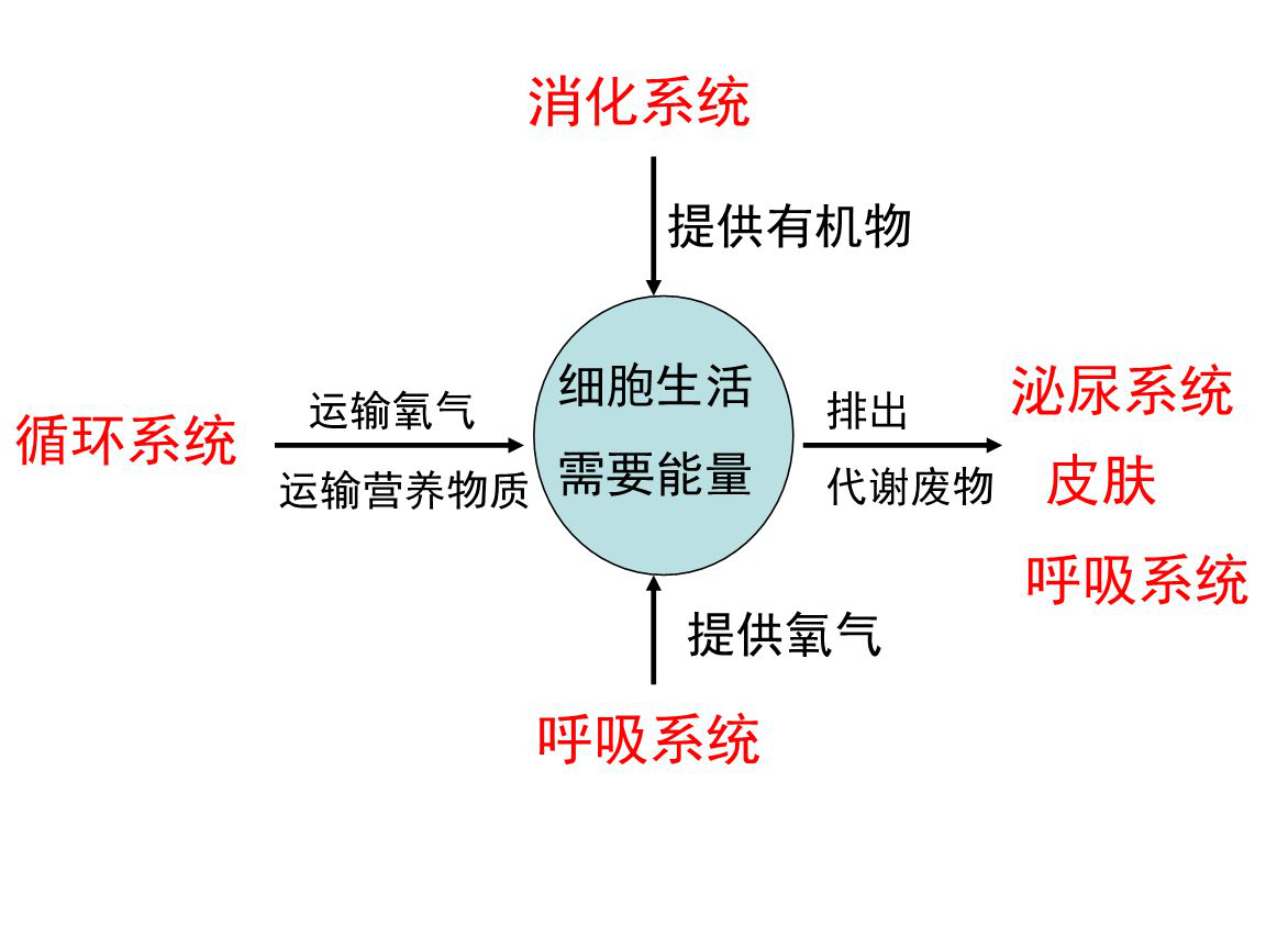 黑色痘印太烦恼？3步彻底去除印痕，恢复白嫩水光肌
