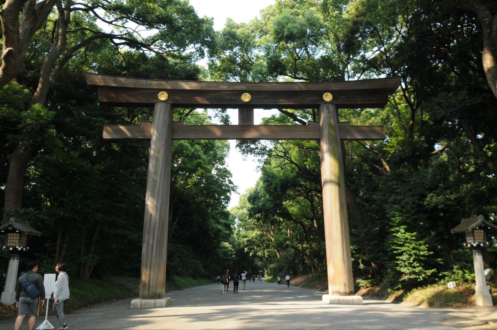 明治神宫:位于日本首都中心,却颇为幽静十分惬意