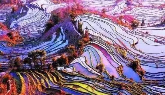 十大必去的云南旅游景点，你去过几个？