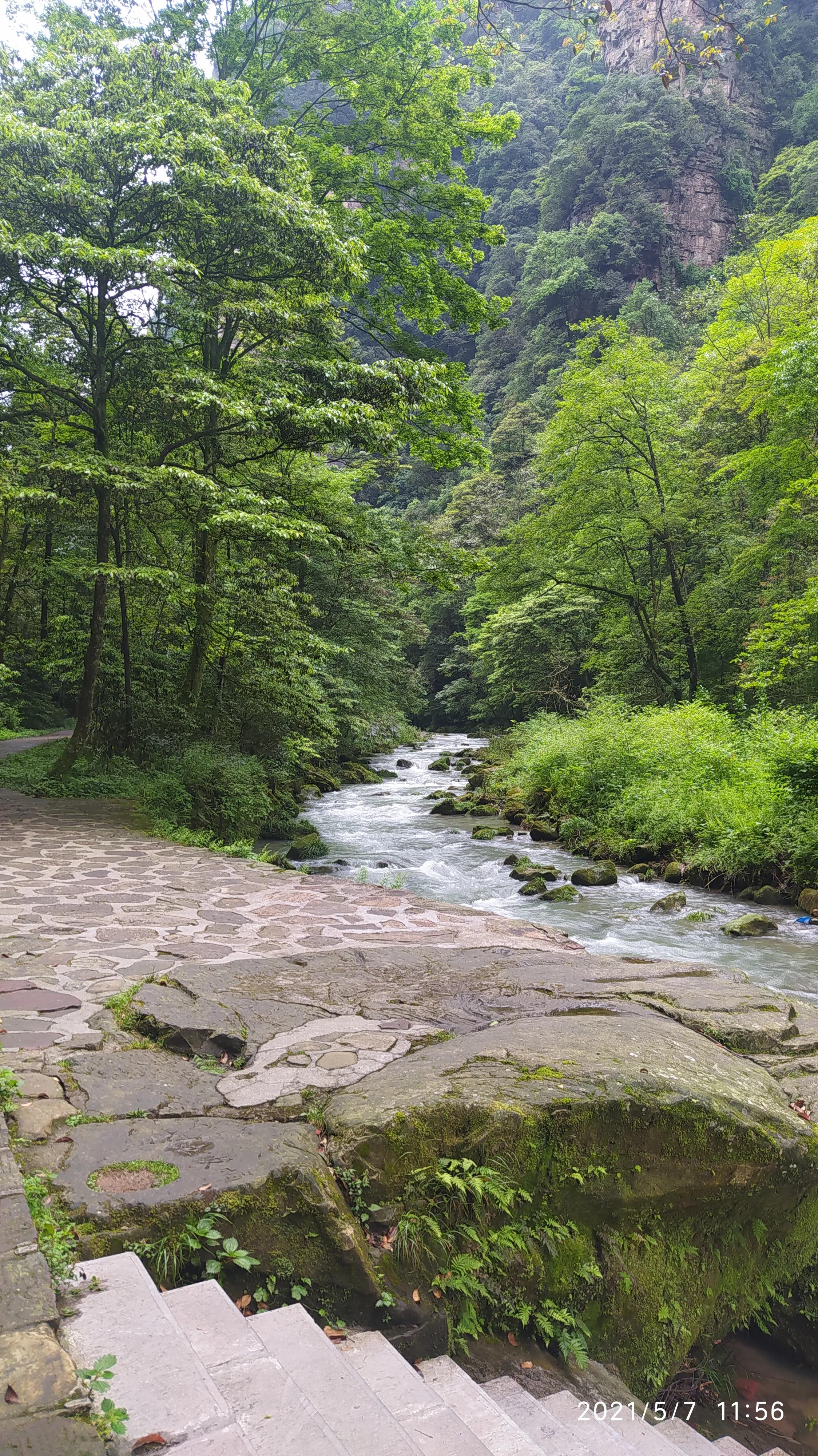 张家界三天自由行(穷游)花费及行程路线攻略