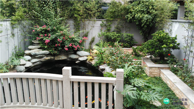 庭院鱼池都有哪些样式庭院鱼池样式图