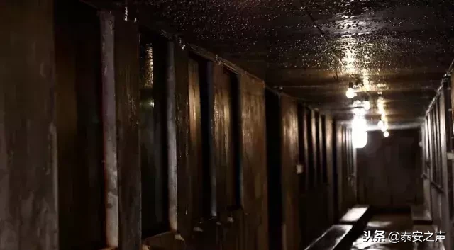 致敬！山东农业大学束怀瑞院士走进央视《大家》