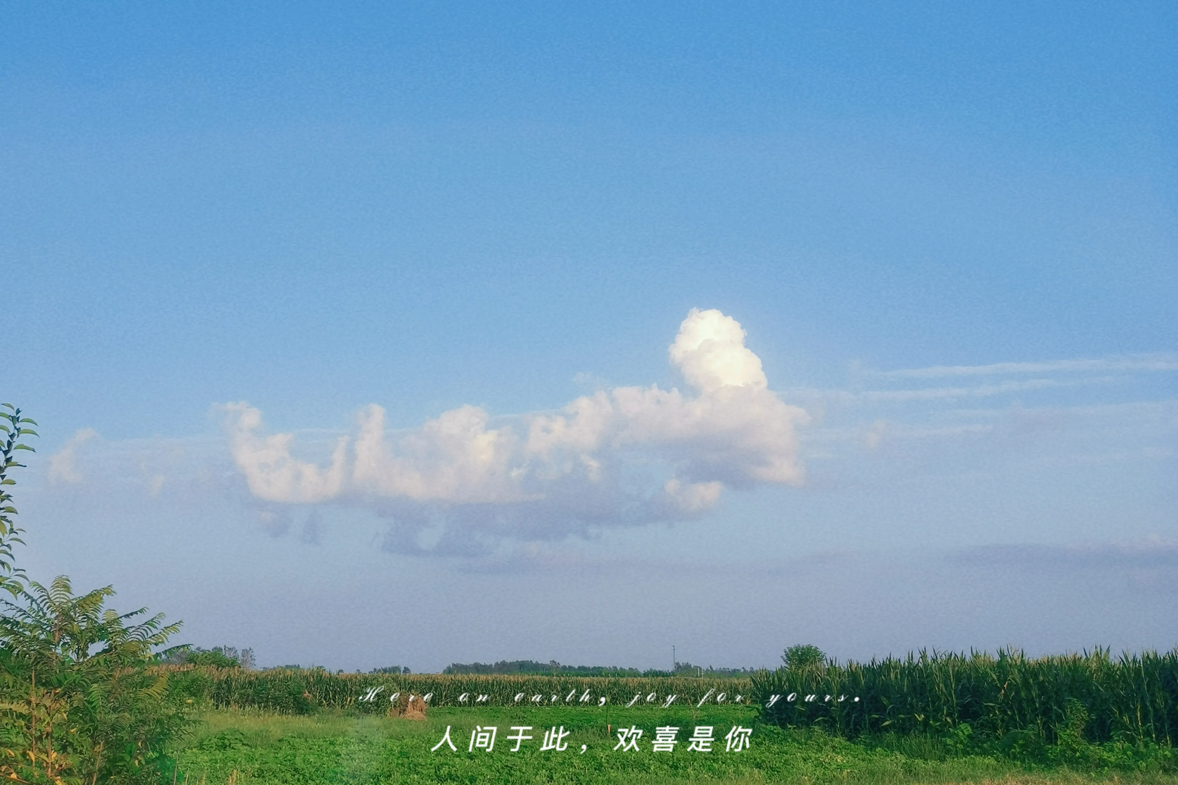 社会虽残酷,但我们可以让生活有点“温度”