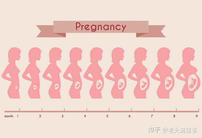 孕38周胎兒發育標準對照表(懷孕29周胎兒發育標準數據)-友友