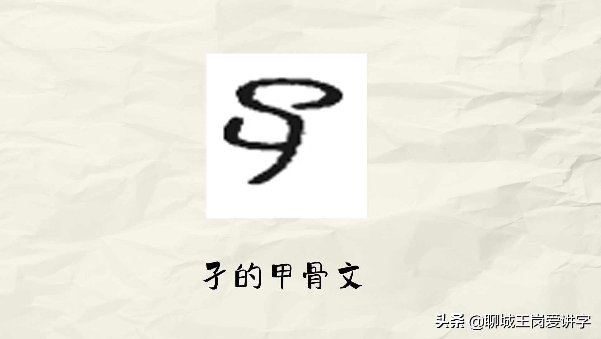 xingӤĳbao -Ѷ