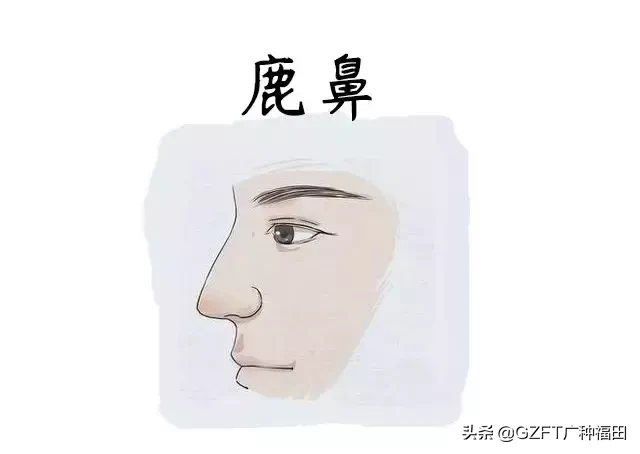 面相 | 这些鼻子自带福相,注定大富大贵,福运绵延