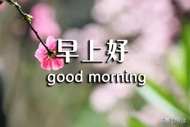 早安心语：只有真心真意，才能不离不弃
