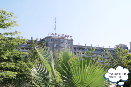 广西又一个县级市要建高等院校，盘点广西那些有大学的县（市）