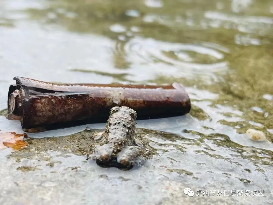 福建车茶机车俱乐部之初秋踏板局骑行游记